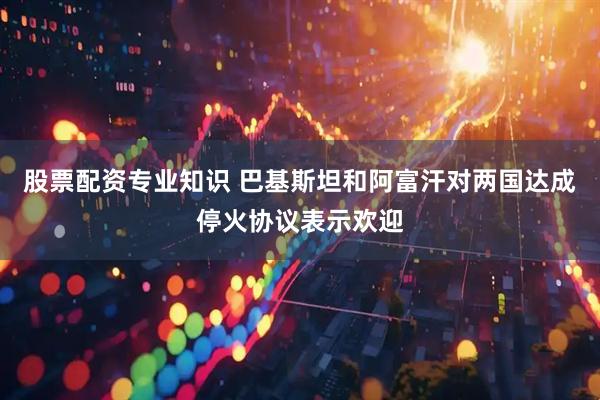 股票配资专业知识 巴基斯坦和阿富汗对两国达成停火协议表示欢迎