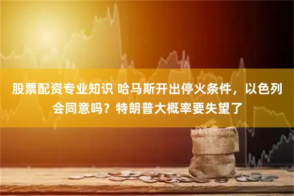 股票配资专业知识 哈马斯开出停火条件,以色列会同意吗?特朗普大概率要失望了