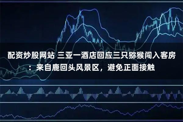 配资炒股网站 三亚一酒店回应三只猕猴闯入客房：来自鹿回头风景区，避免正面接触
