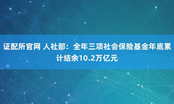 证配所官网 人社部：全年三项社会保险基金年底累计结余10.2万亿元