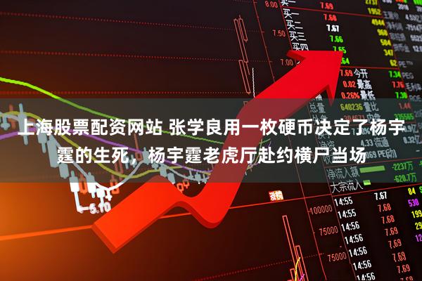 上海股票配资网站 张学良用一枚硬币决定了杨宇霆的生死，杨宇霆老虎厅赴约横尸当场